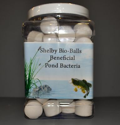 Shelby Bio-balls Beneficial Pond Bacteria 60 Count = One Acre *free Shipping